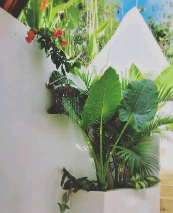 Nest Uluwatu - Eco Boutique Villa ภายนอก รูปภาพ