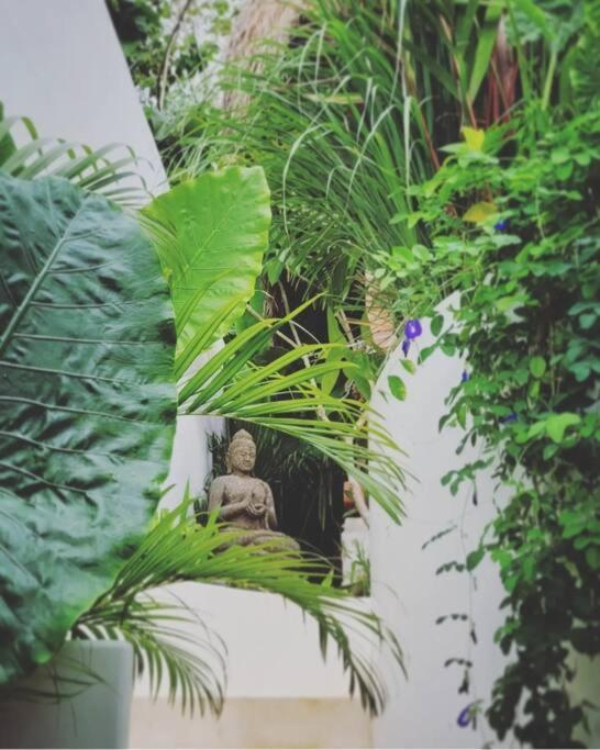 Nest Uluwatu - Eco Boutique Villa ภายนอก รูปภาพ