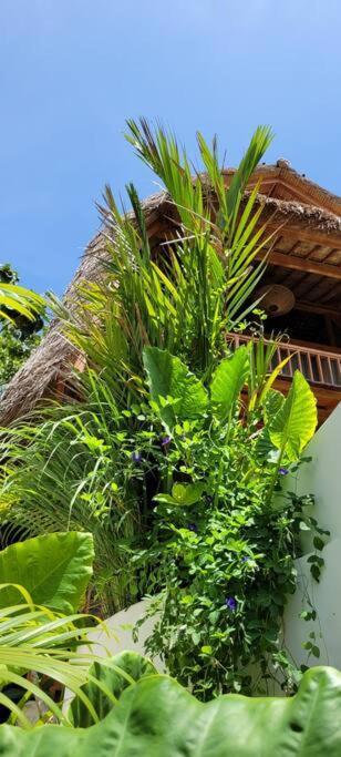 Nest Uluwatu - Eco Boutique Villa ภายนอก รูปภาพ