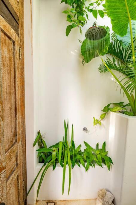 Nest Uluwatu - Eco Boutique Villa ภายนอก รูปภาพ