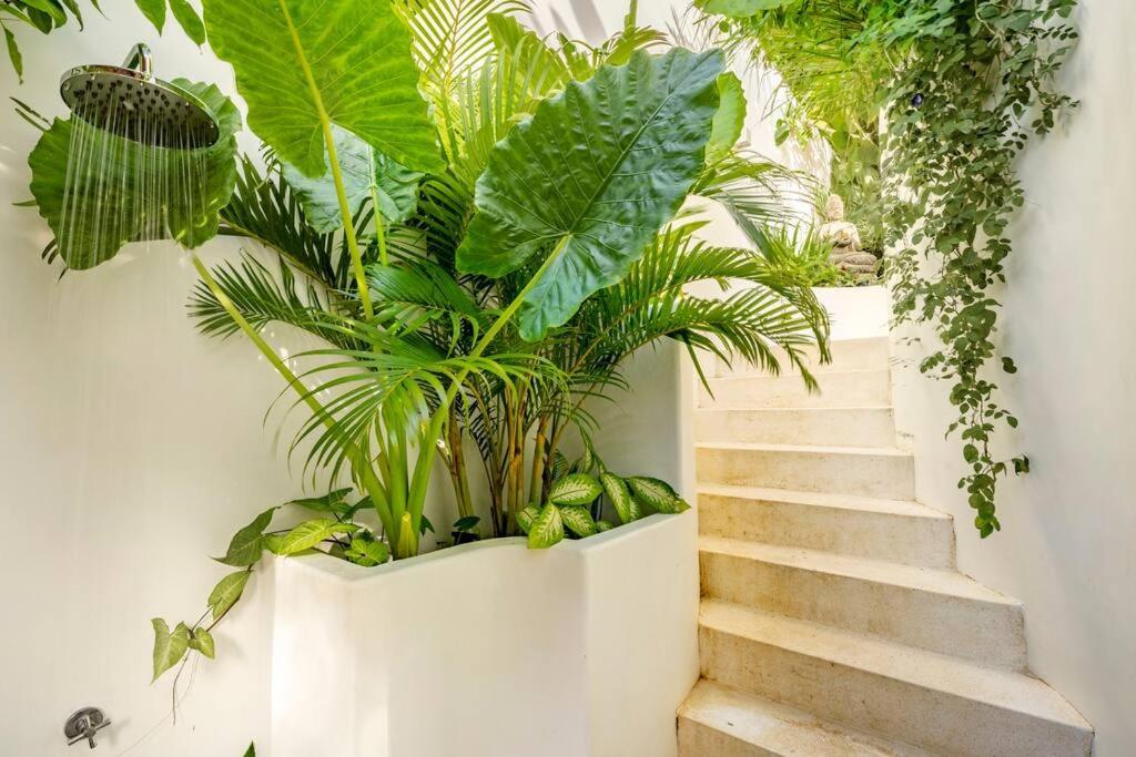 Nest Uluwatu - Eco Boutique Villa ภายนอก รูปภาพ